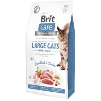 Brit Care GF LARGE POWER &amp; VITALITY беззерновой корм для кошек крупных пород (курица и утка)